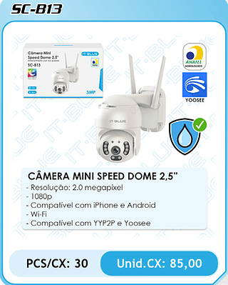 CÂMERA MINI SPEED DOME 2,5" PCS/CX: 30 Unid.CX: 85,00