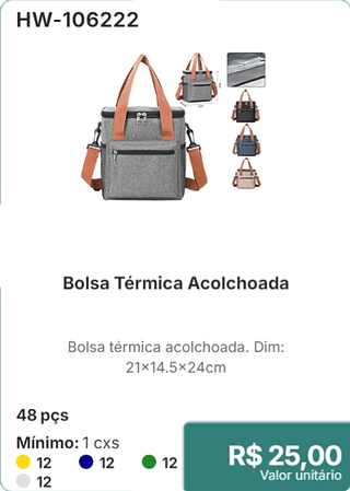 Bolsa Térmica Acolchoada 48 pçs R$ 25,00