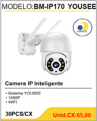 Camera IP Inteligente 30PCS/CX Unid.CX:65,00