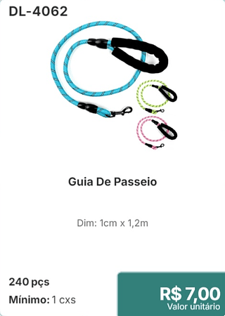 Guia De Passeio 240 pçs R$7