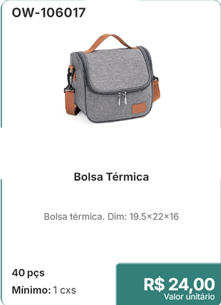 Bolsa Térmica 40 pçs R$ 24,00